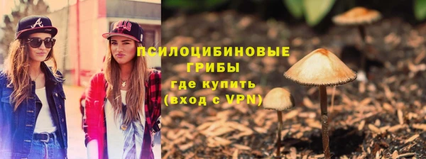 стафф Зеленодольск